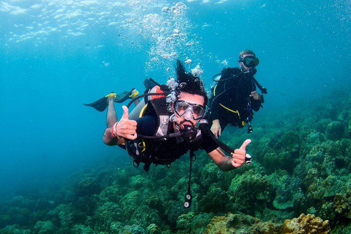 Koh Chang Full-Day 2-Dive Shipwreck & Reef Scuba Tour, Ko Chang