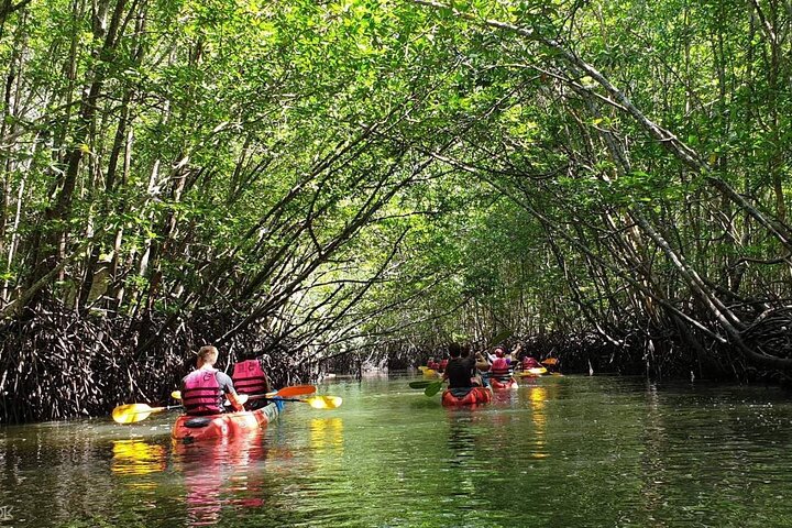 Mangrove Tour by Kayaking in Ko Lanta With Lunch, Ko Lanta