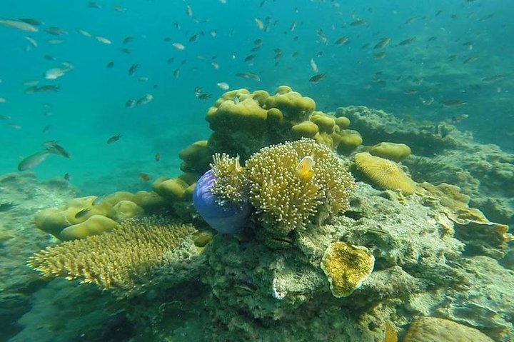 Oneday Tour 4 Islands and Emerald Cave By Tin Adventure Sea Tour from Koh Lanta, Ko Lanta