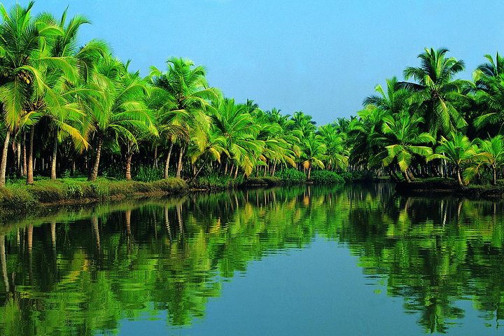 Backwater houseboat tour and Chinese fishing nets in Kochi, Kochi