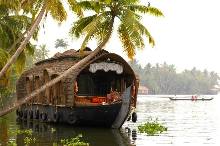 experiences in Kochi