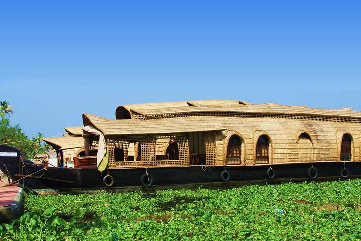 Private backwater cruise in Alappuzha from Kochi, Kochi