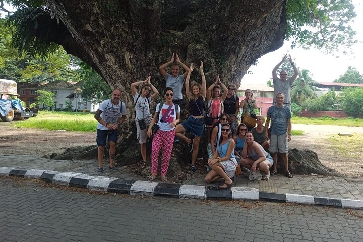 Tuk Tuk city tour of Kochi with cruise ship pickup