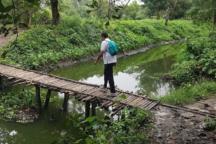 Walking tour of the Kolkata Wetlands, Kolkata