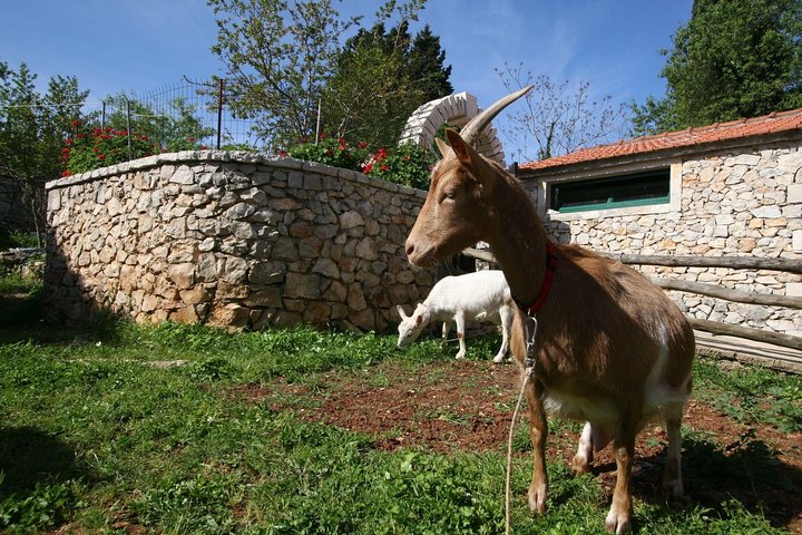 Korcula Island Mountain E Bike Private tour with lunch, Korcula