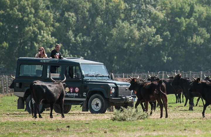 4x4 Safari Half Day with Meals (5h30), Le Grau-du-Roi
