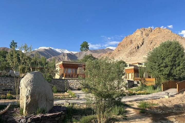 Private tour of Ladakh's highlights, Leh