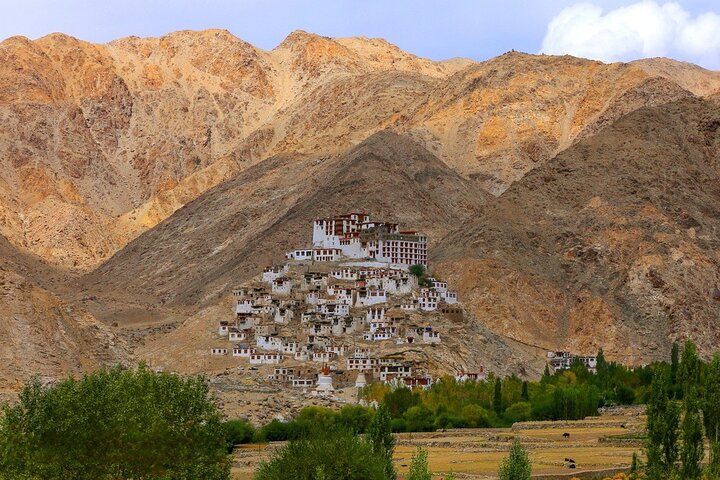 Ladakh Valley tour of Leh, Nubra Valley, and Pangong Lake, Leh