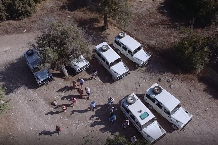 Cruise and 4X4 Safari Tour at Akamas Peninsula from Aphrodite Hills, Limassol