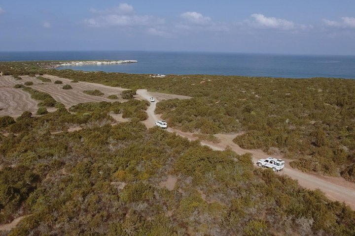 Jeep Safari to Akamas from Limassol — Day trips things to do in Limassol
