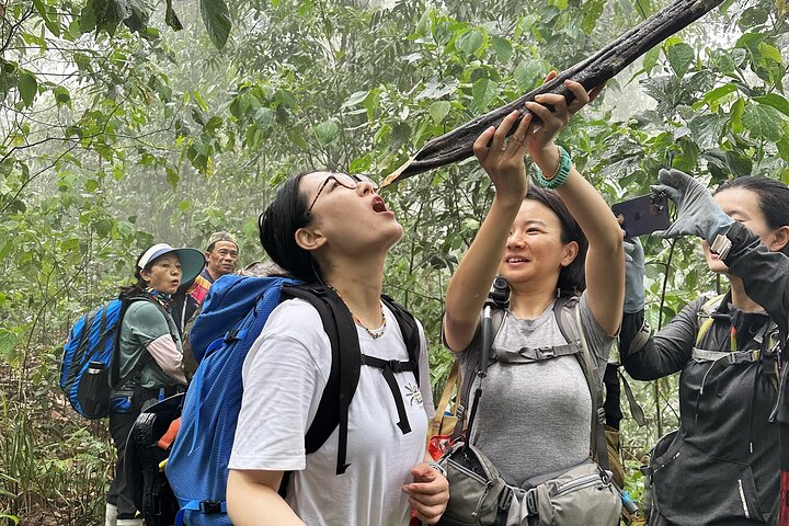 3 Days Multi Adventure in Nam Ha NPA: 2 Days Trek and 1 Day Kayak, Luang Namtha