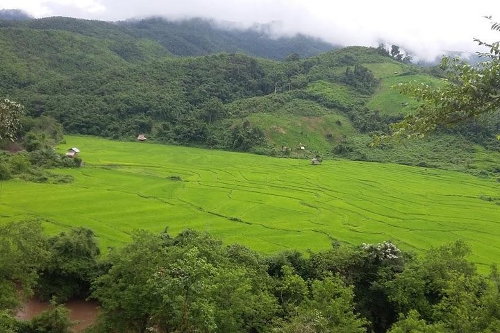 Hunter Trails, 3 days difficult trekking with Camping & Homestay, Luang Namtha