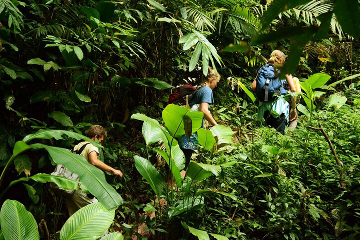 Jungle Experience: 1 Day Trek in Nam Ha NPA, Luang Namtha