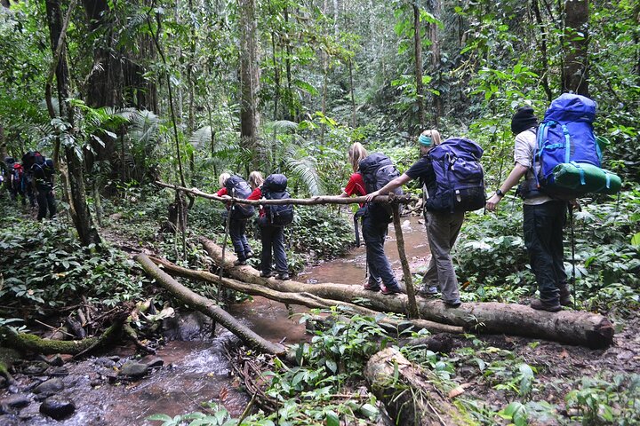 Nalan Trail and Khmu Tribe: 2 Days Trek in Nam Ha NPA, Luang Namtha