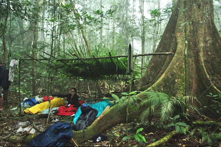 Nam Ha NPA 3 Day Wildlife Jungle Camp and Village Homestay Trek, Luang Namtha