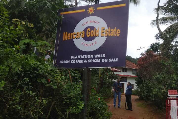 Coffee and spice estate tour at Mercara Gold, Coorg, Madikeri