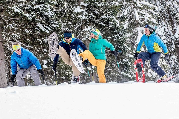 3 Hours Snowshoeing in Paganella in the Dolomites, Madonna di Campiglio