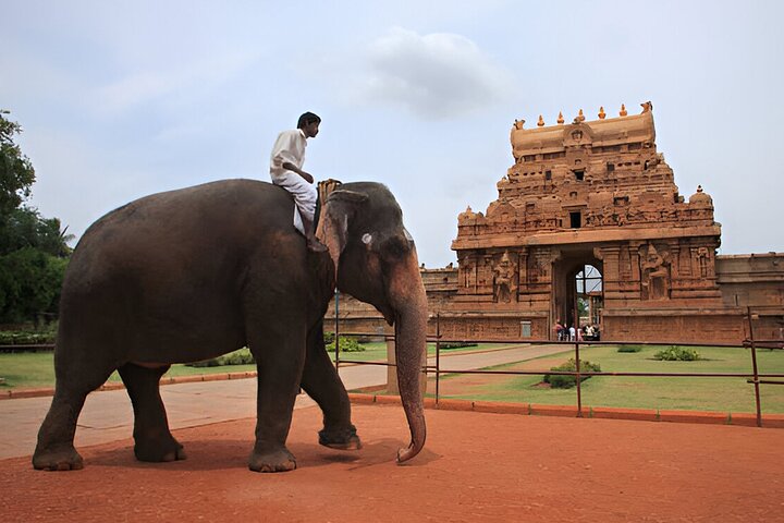 Heritage day trip from Madurai to Thanjavur with Trichy and Gangaikonda Cholapuram, Madurai