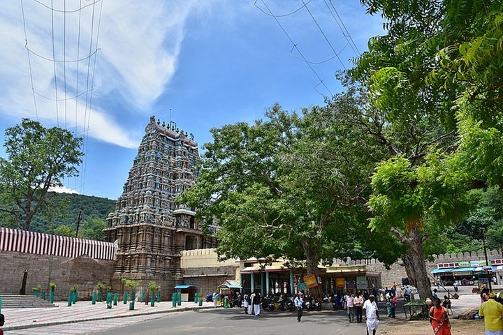 Guided nature and spiritual walking tour in Madurai, Madurai