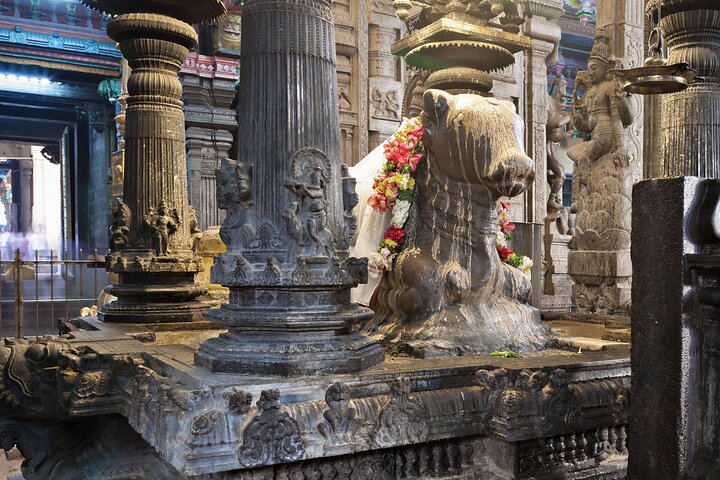 experiences in Madurai