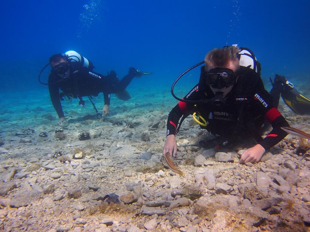 BRELA Bikini Dive *Try SCUBA DIVING*, Makarska