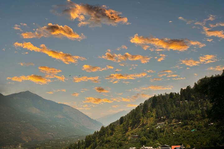 Full-day Kullu and Naggar sightseeing tour from Manali, Manali