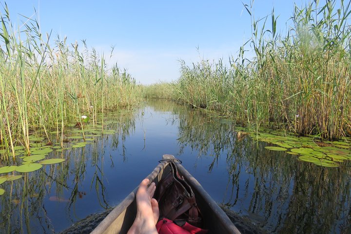 2 Nights Okavango Delta Mokoro WildCamping Tour, all-inclusive — Nature & wildlife things to do in Maun