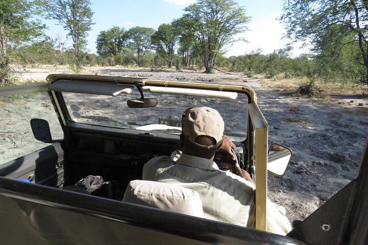 3 Day Wilderness Trail: Moremi, Khwai & East Okavango Delta - WildCamping Safari, Maun