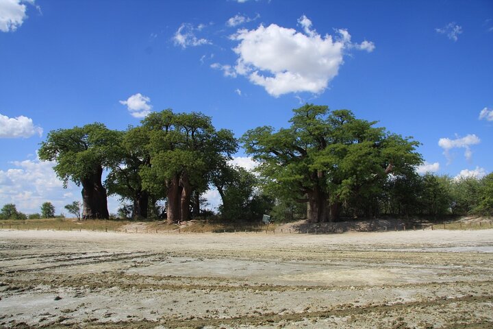 4 Day All Inclusive Tour to Boteti, Delta and Pans — Day trips things to do in Maun