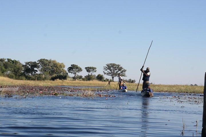 Mokoro Safari 3 Nights 4 Days, Maun