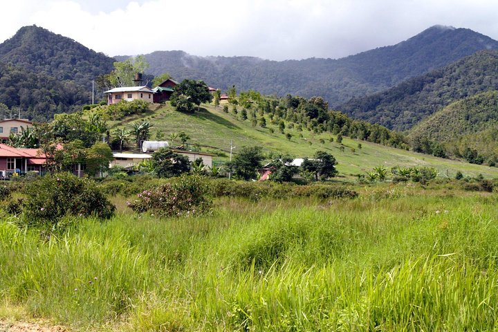 experiences in Miri