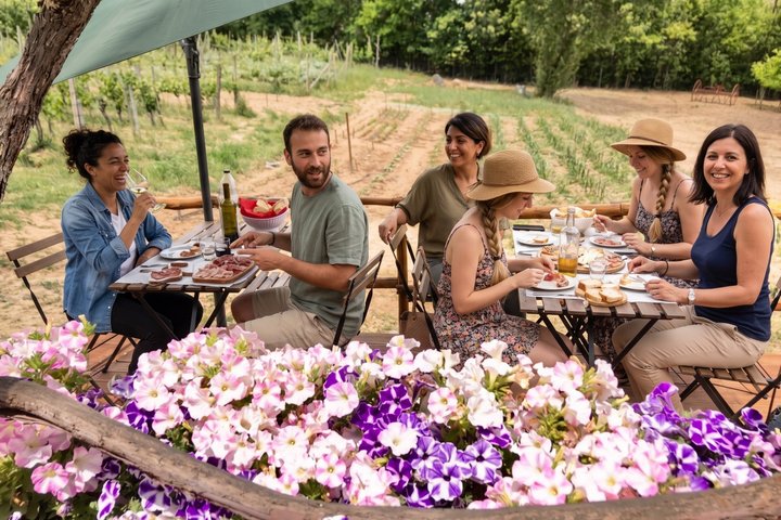 Montepulciano: Cinta Senese Farm Tour, Food Tasting & wine, Montepulciano