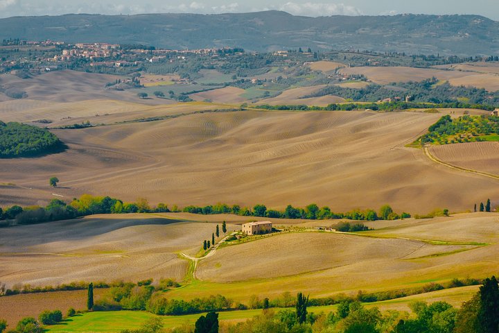 Montepulciano: Wine Tasting & Lunch in a typical winery, Montepulciano