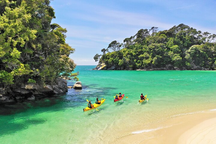 Motueka — top 1 adventure