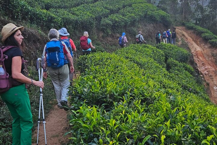 Munnar — top 10 adventure