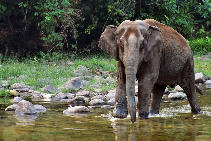 Munnar — top 10 cultural & heritage