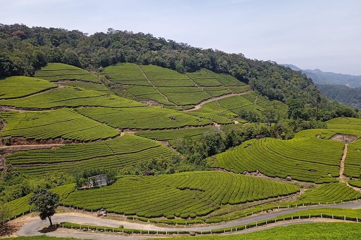 One-day sightseeing tour of Munnar, Munnar