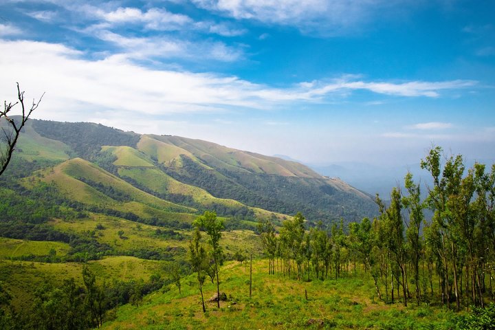Chikmagalur day trip from Mysore by private car, Mysore