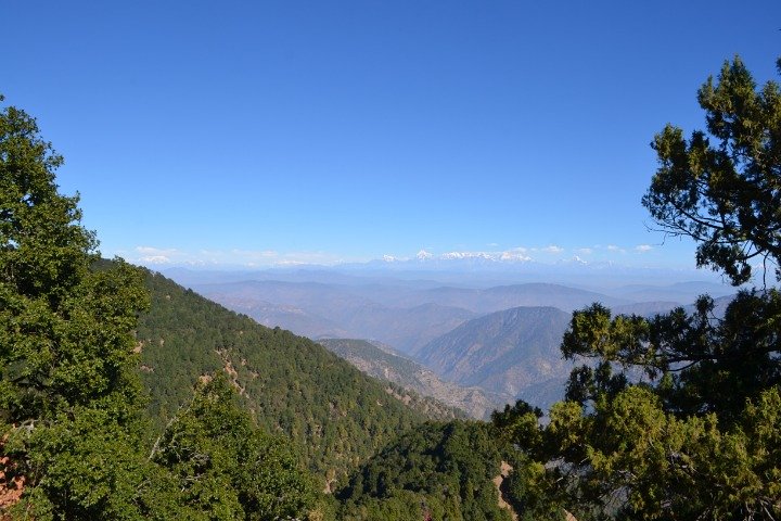 Guided nature trek in Nainital, Nainital