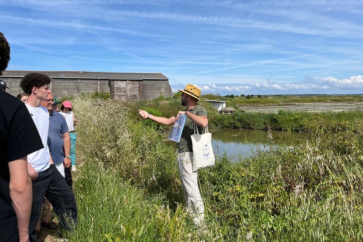 Visit to Saline - Guérande Salt Marshes — Cultural & heritage things to do in Nantes