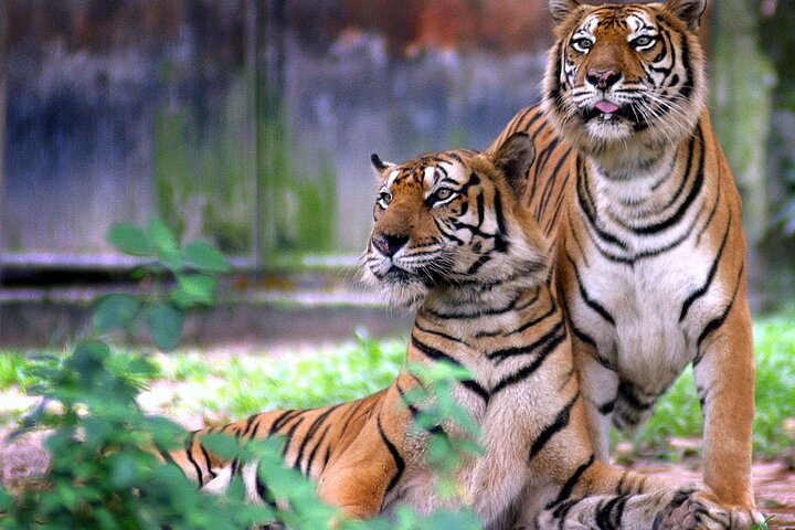 New Delhi — top 3 nature & wildlife