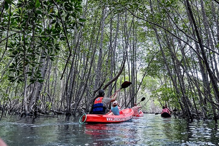 1 Hour Mangrove Tour From Lembongan with Kayak, Paddle, or Boat — Adventure things to do in Nusa Lembongan
