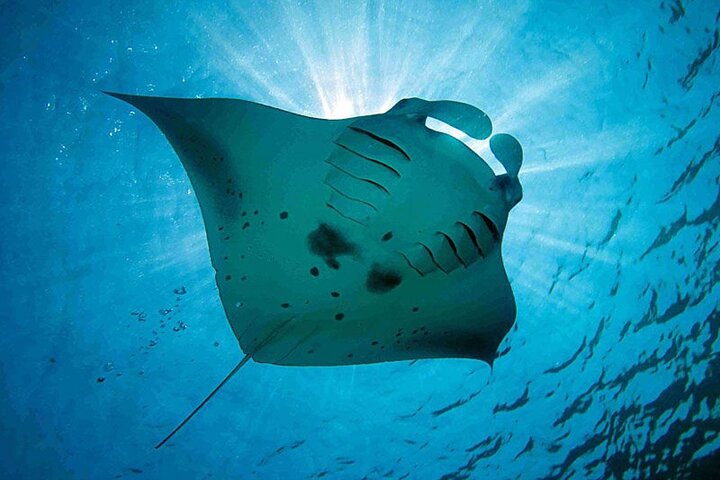 experiences in Nusa Lembongan