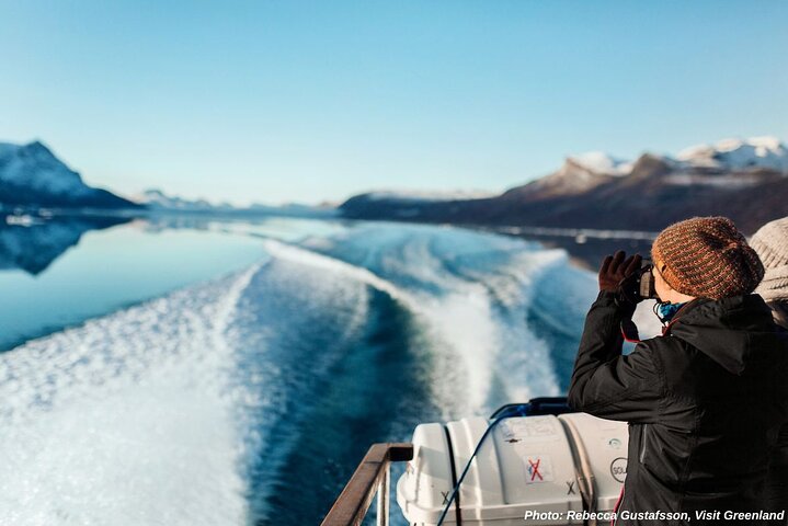 Nuuk Fjord Boat Tour with Greenlandic Picnic Experience, Nuuk