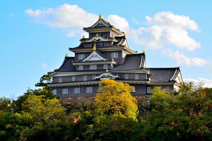 1 Day Okayama Guided Walking Tour — Kids-friendly things to do in Okayama