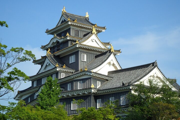 Okayama: Castle & Korakuen Garden Heritage Walk — Cultural & heritage things to do in Okayama