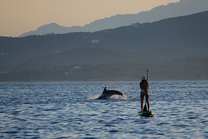 Stand up Paddle among dolphins, snorkeling and photos, Olbia