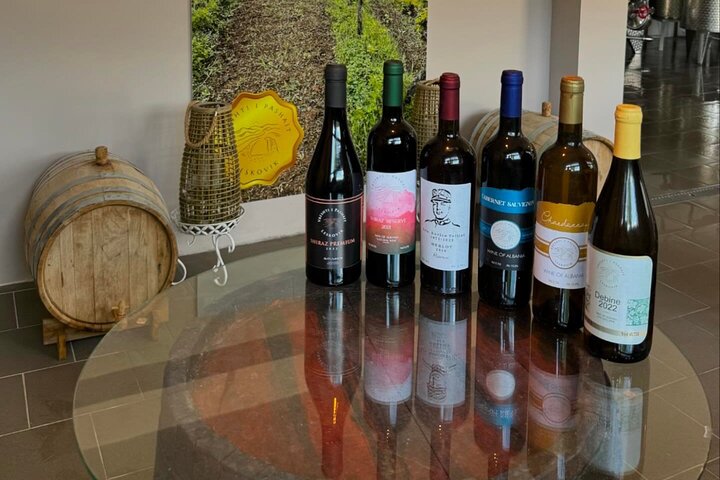 Wine Tasting Winery Kantina Vreshti I Pashait-Permet, Permet