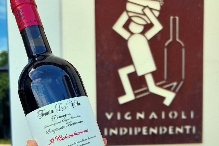 Discover Italian Wines at Tenuta La Viola — Kids-friendly things to do in Pesaro