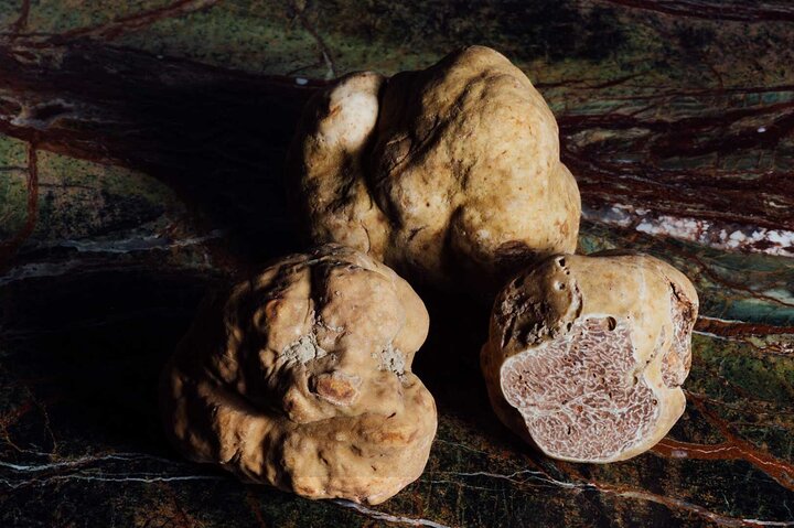 Half day tour, with truffle based lunch: Exploring the Duke's lands — Day trips things to do in Pesaro